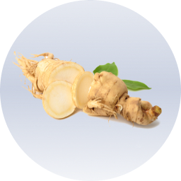 Ginseng